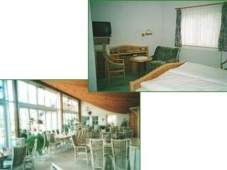 Hotel Penig Hotel Zur Lochm&uuml;hle GmbH picture 2